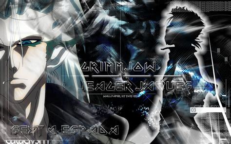 Grimmjow Grimmjow Jeagerjaques Photo Fanpop