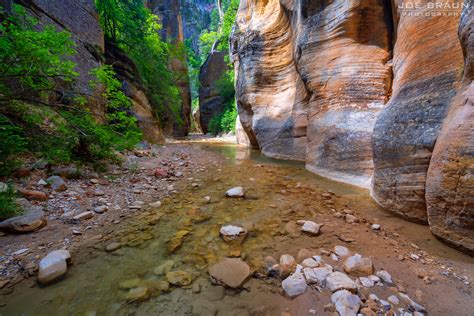 Joes Guide To Zion National Park Backpacking In Zion National Park