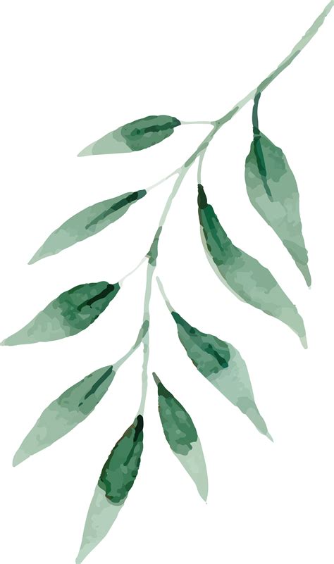 Aesthetic Leaves Png Hd Png Mart