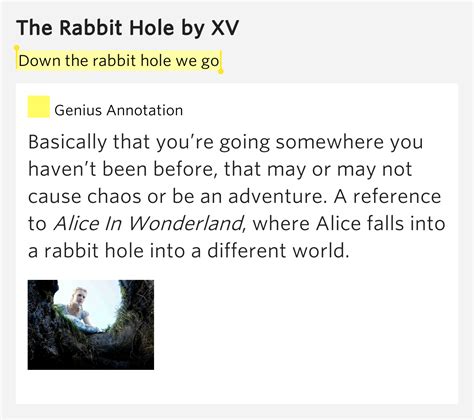 Down The Rabbit Hole We Go The Rabbit Hole By Xv