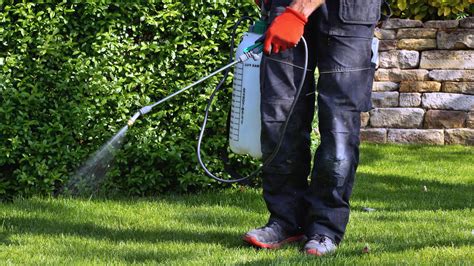 The Dependable Lawn Care Frisco Tx Guide To Choosing A Specialist