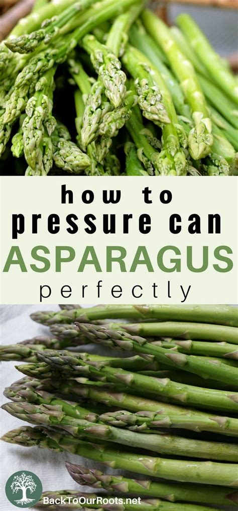 Check spelling or type a new query. How to Pressure Can Asparagus Perfectly | Canning ...