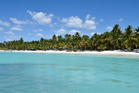 Dominican Republic Saona Island Stock Image Image Of Dominicana
