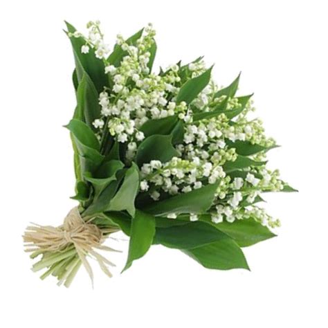 1er Mai Muguet Offrir Du Muguet Avant Le 1er Mai Photo De Fleur Une C Est En 1561