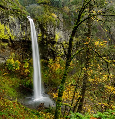 Expose Nature Elowah Falls Oregon On A Rainy Day Oc 4757 × 4928