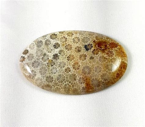 73 Cts Natural Fossil Coral Jasper Loose Gemstone Oval Shape Cabochon