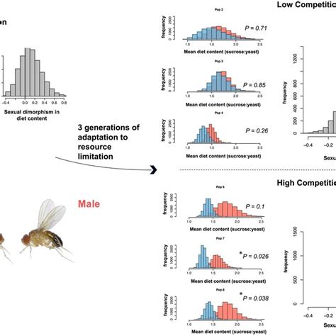 Evolution Of Sexual Dimorphism Occurred Via Divergence In Both Male And Download Scientific