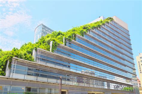 Popularity Of Green Roofs Kodiak Roofing And Waterproofing