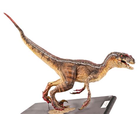Jurassic Park Iii Male Velociraptor Maquette