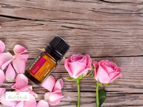 Benefits Of Rose Essential Oil How To Use Rose Essential Oil And Rose