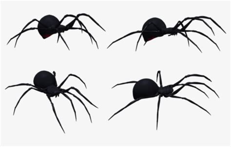 Black Widow Tour Black Widow Spider Stencil Free Transparent