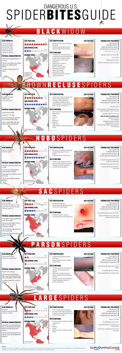 Insect Bites Chart My Xxx Hot Girl