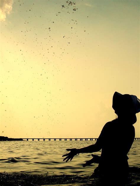 Silhouette In The Bay Smithsonian Photo Contest Smithsonian Magazine