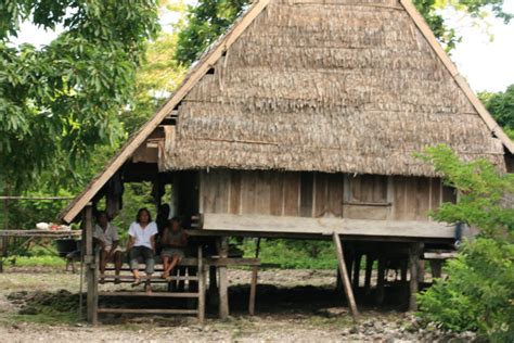 Penjelasan Rumah Adat Maluku Beserta Arsitektur Dan Filosofinya Lamudi