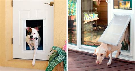 Dog Doors Everything To Know About Choosing The Right One This Old House