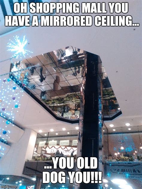 Shopping Mall You Old Dog Imgflip