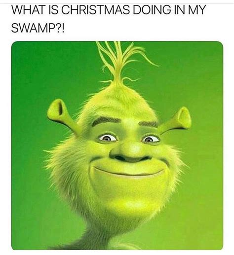 Shrek Wazowski Shrek Shrek Shrek Memes Funny Throw Pi
