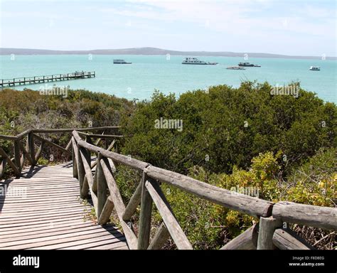 Langebaan Lagoon In The West Coast National Park Of South Africa Stock