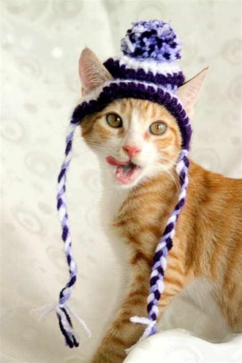 Hat For Cats Toboggan Cat Hat Beanie For Cast And Kittens Cat Stocking