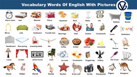 Vocabulary Words Of English With Pictures Grammarvocab