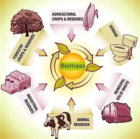 The Evolution Of Biomass And Its Generations