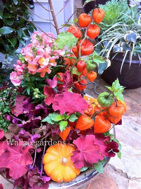 Beautiful Fall Container Planting Fed Authentic Haven Brand By Nancy