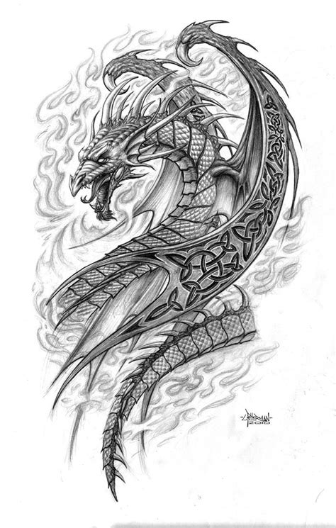 Celtic Dragon Tattoos Celtic Dragon Tattoos Dragon Sketch Dragon