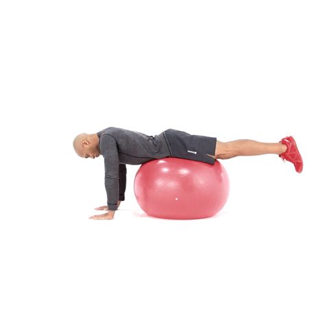 Reverse Leg Raise On Swiss Ball Exercise Video Guide Muscle And Fitness