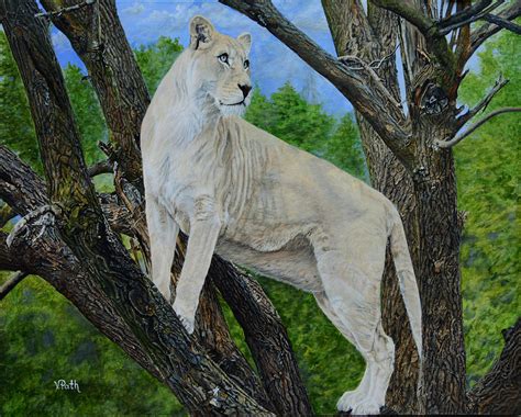 White Lion Painting By Vicky Path Fine Art America