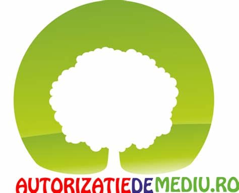 We found that romanian is. Depunere declaratie fondul pentru mediu | Declaratii AFM