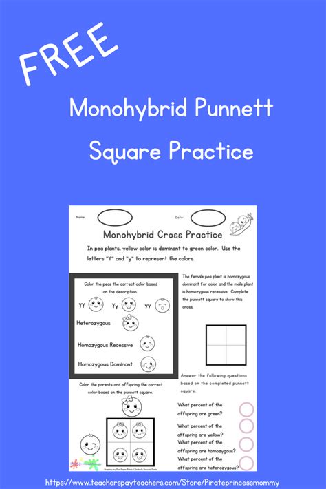 When he's not at the krusty krab grilling up some epic krabby patties. Monohybrid Punnett Square Practice | Teacher resources, Punnett squares, Homeschool resources