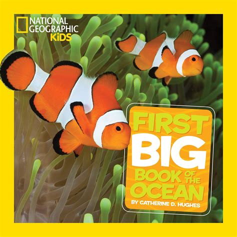 National Geographic Little Kids First Big Book Of The Ocean National