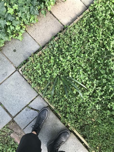 elämä on täynnä uusia suuntaviivoja ja mahdollisuuksia, kun niille