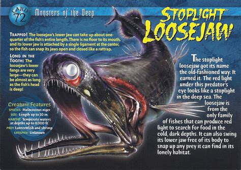 Deep black have one of the worst acting that games i ever played: Stoplight Loosejaw | Wierd N'wild Creatures Wiki | FANDOM ...