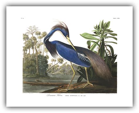 John James Audubon : 