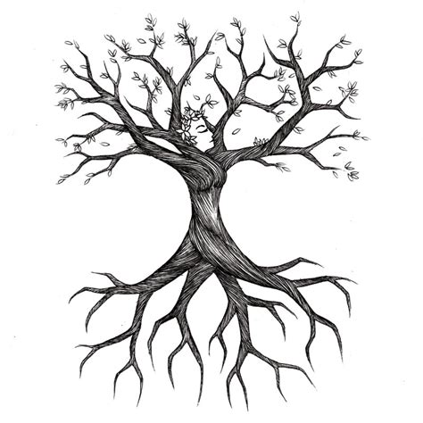 You can edit any of drawings via our online image editor before downloading. Drawings : by Caitlin Veazey : Sacramento - ClipArt Best ...
