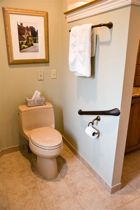 Invisia dual purpose grab bars. Toilet Grab Bar - Smart Accessible Living