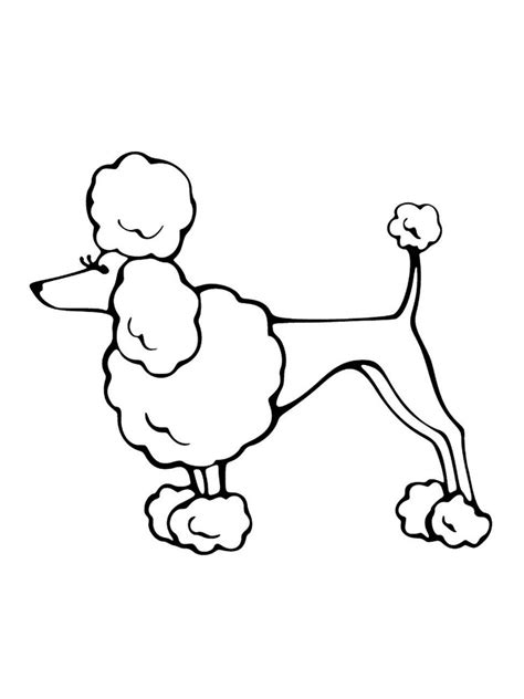 Poodle Puppy Coloring Pages Poodle For Embroidery