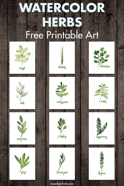 Herb Printables Free Free Printable Templates