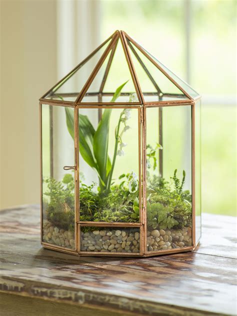 We did not find results for: Fairy Garden Terrarium - Pre-Assembled Terrarium ...