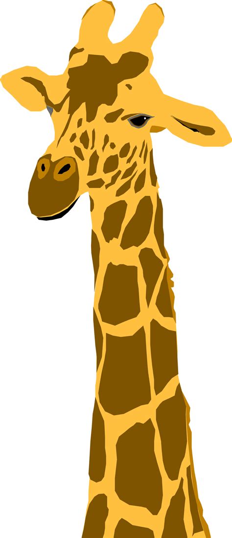 Cartoon Giraffe Head Giraffe Images Clipart Giraffe Head Png