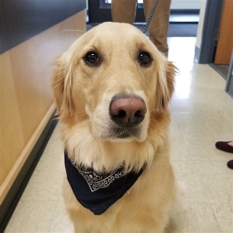 Student Health & Well-being | Portage Public Schools