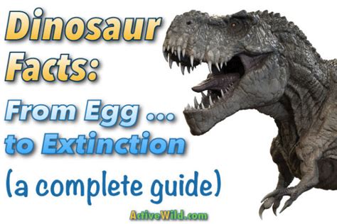 Dinosaur Facts For Kids And Students Info And Pictures From