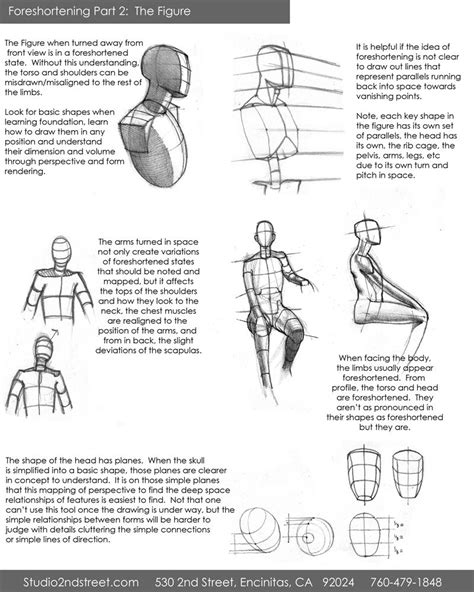 Tutorial Tuesday Foreshortening Tricks Idrawdigital Perspective