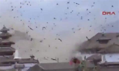 Shocking Video Shows Moment Birds Filled The Sky When Earthquake Hit Nepal The Epoch Times