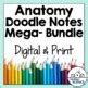 Anatomy And Physiology Doodle Notes Bundle Notes For Human Anatomy