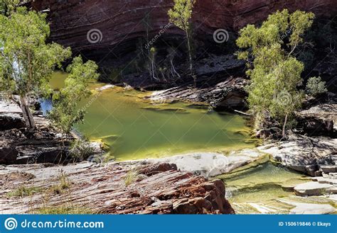 Spa Pool Hamersley Gorge Karijini National Park Pilbara Region In