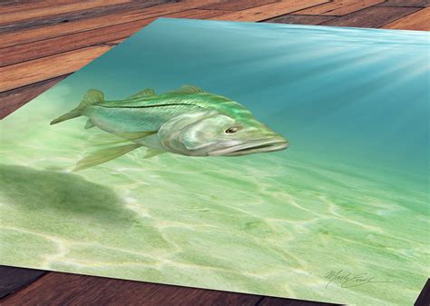 Snook Art Print Fishing T For A Saltwater Fisherman Etsy