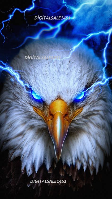 Eagle Png Eagle Beak Digital Downloadcolor Printingeagleflies High