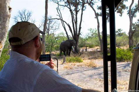 The Best Time To Visit Botswana And Essential Travel Tips